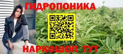 амф Кандалакша