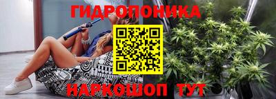 амф Кандалакша