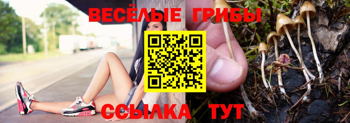 Галлюциногенные грибы Psilocybine cubensis Кызыл