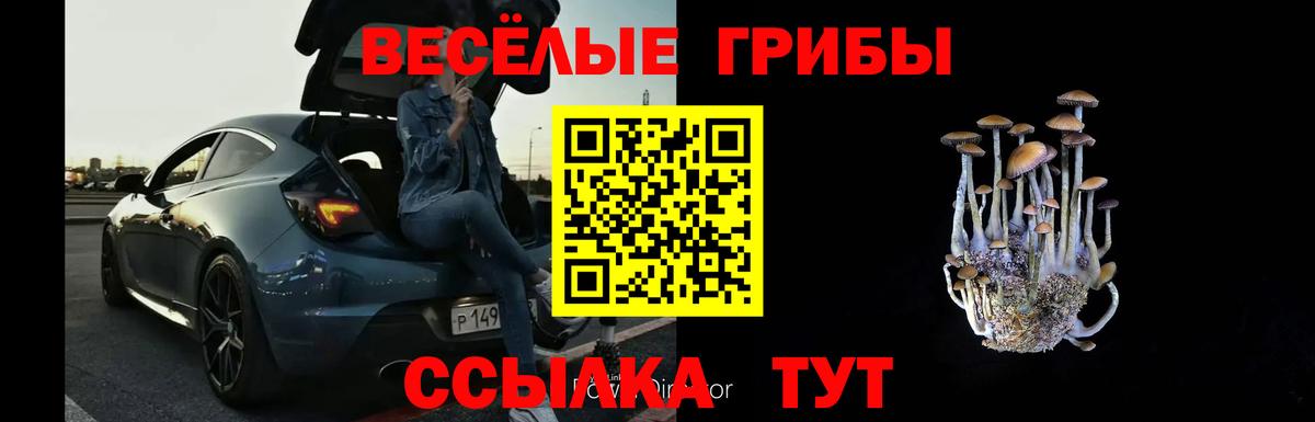 Псилоцибиновые грибы мухоморы  купить закладку  Кызыл  Вход с VPN 